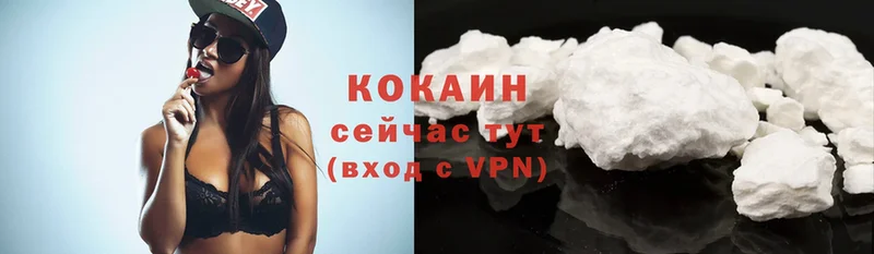 Cocaine FishScale  как найти закладки  Бежецк 